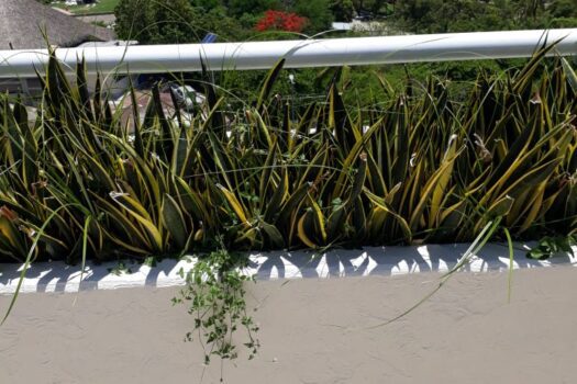 PENTHOUSE UBICADO EN LAS BRISAS ACAPULCO