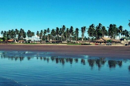 Taho Nayarit 84 hectareas