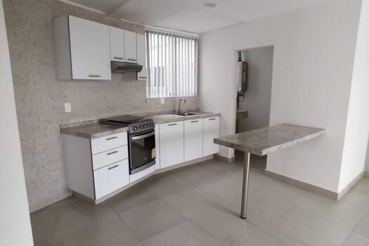 Renta departamento en San Pedro de los Pinos
