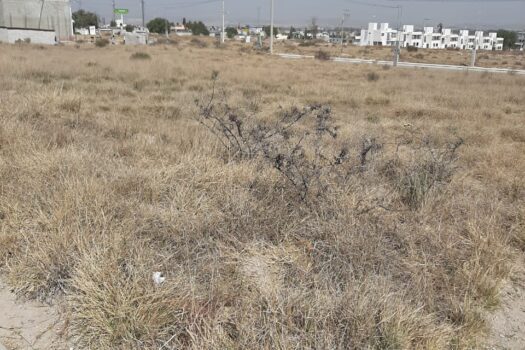 ¡VENTA DE TERRENO EN SAN PABLO TECALCO, TECAMAC!
