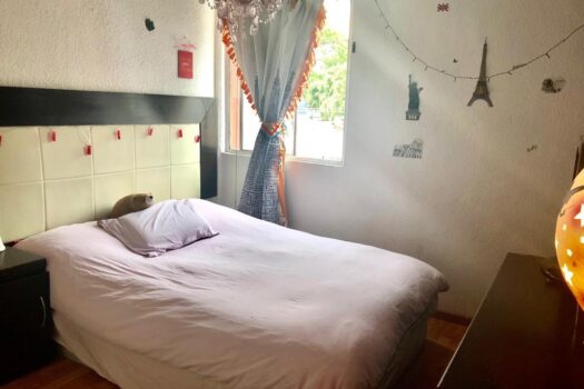 Renta excelente departamento en San Miguel Chapultepec