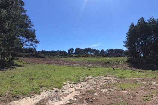 Terreno 2 hectáreas en Hidalgo