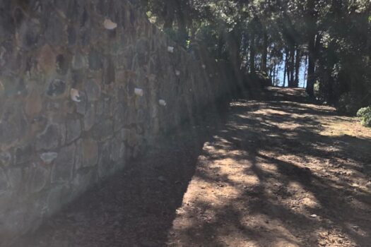 Terreno 2 hectáreas en Hidalgo