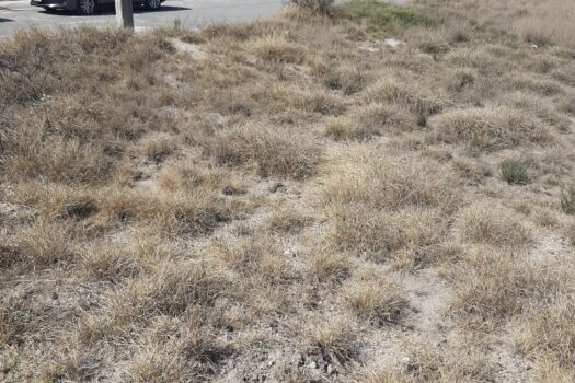 ¡VENTA DE TERRENO EN SAN PABLO TECALCO, TECAMAC!