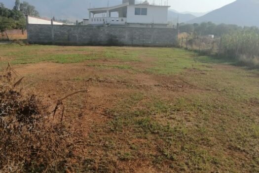 VENDO TERRENO A SEIS CUADRAS DEL MUNICIPIO DE TLALIXTAC DE CABRERA