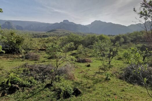 Venta de bonito terreno en el mágico pueblo de tepoztlán, Morelos