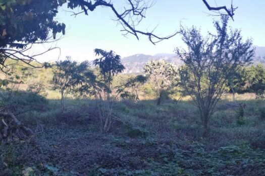 Venta de bonito terreno en el mágico pueblo de tepoztlán, Morelos