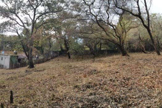 Hermoso terreno ubicado en Tepoztlán, Morelos.
