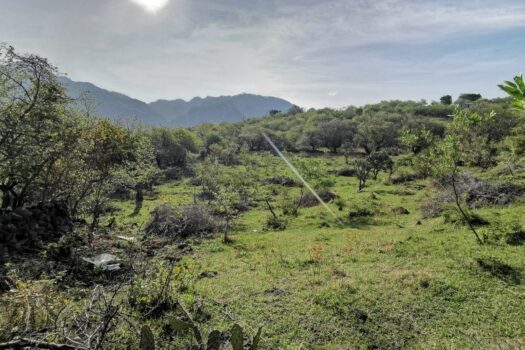 Venta de bonito terreno en el mágico pueblo de tepoztlán, Morelos