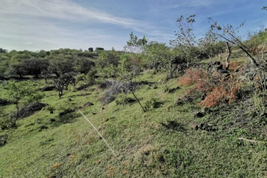 Venta de bonito terreno en el mágico pueblo de tepoztlán, Morelos