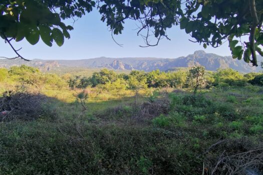 Venta de bonito terreno en el mágico pueblo de tepoztlán, Morelos