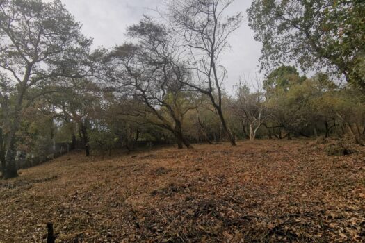 Hermoso terreno ubicado en Tepoztlán, Morelos.