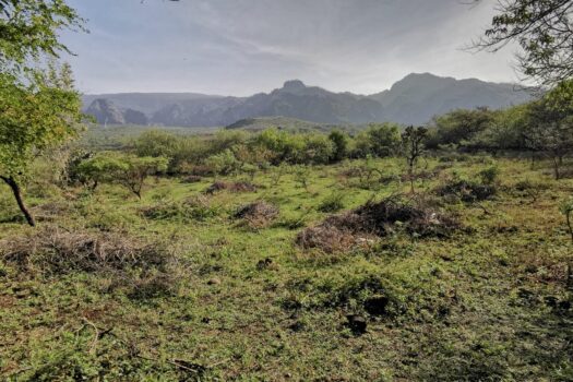 Venta de bonito terreno en el mágico pueblo de tepoztlán, Morelos