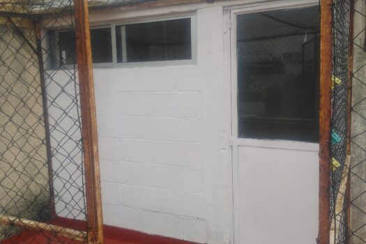 Departamento en Venta Calle 10, San Pedro de los Pinos