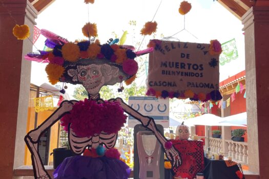 ⭐Locales Comerciales en Renta dentro Plaza Casona Palomas, Huichapan, Hidalgo, México☀️💫