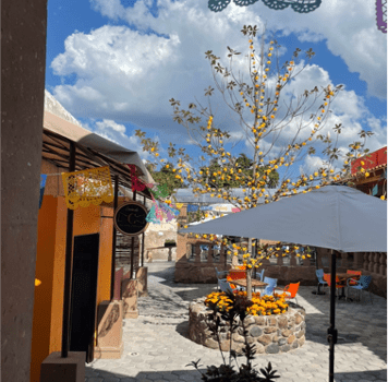 ⭐Locales Comerciales en Renta dentro Plaza Casona Palomas, Huichapan, Hidalgo, México☀️💫