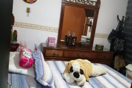 BONITO DEPARTAMENTO Y EN EXCELENTES CONDICIONES