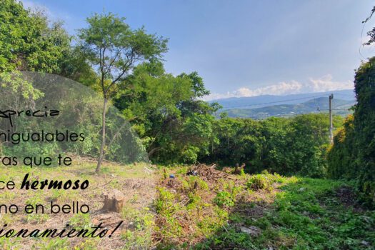 Venta De Terreno en Fraccionamiento Rancho San Diego  lote GIRASOLES