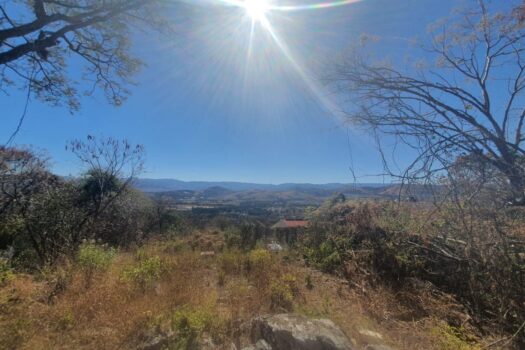 Venta De Terreno en Fraccionamiento Rancho San Diego  lote GIRASOLES