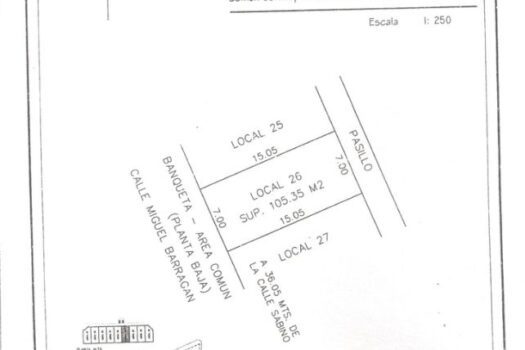 SE RENTA LOCAL (PLAZA COMERCIAL SAN AGUSTIN)