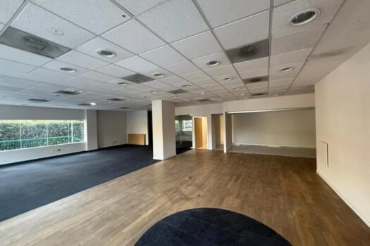 🔴 ¡SE RENTA LOCAL COMERCIAL!