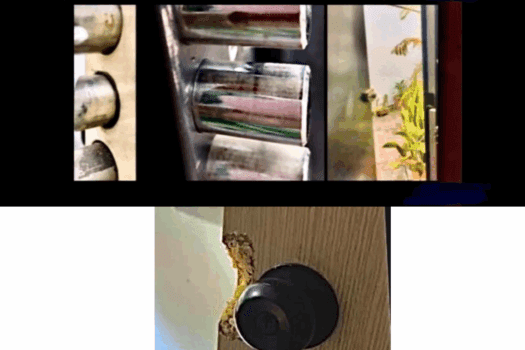 RENTA ESTUDIO AMUEBLADO