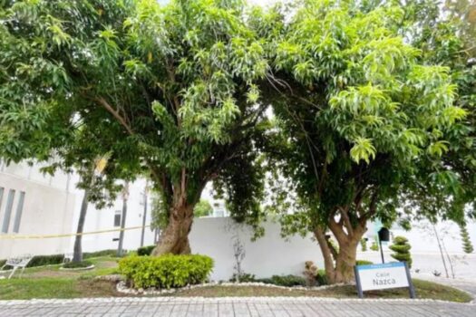 Casa en renta en Parque Lima, Lomas de Angelópolis II: orden, seguridad y vida activa