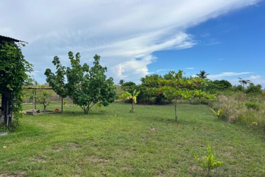 Terreno 2500mt en playa Tecolutla