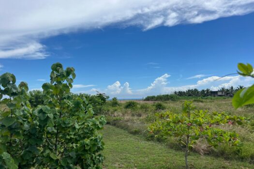 Terreno 2500mt en playa Tecolutla