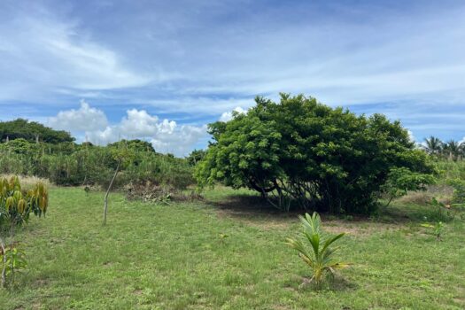 Terreno 2500mt en playa Tecolutla